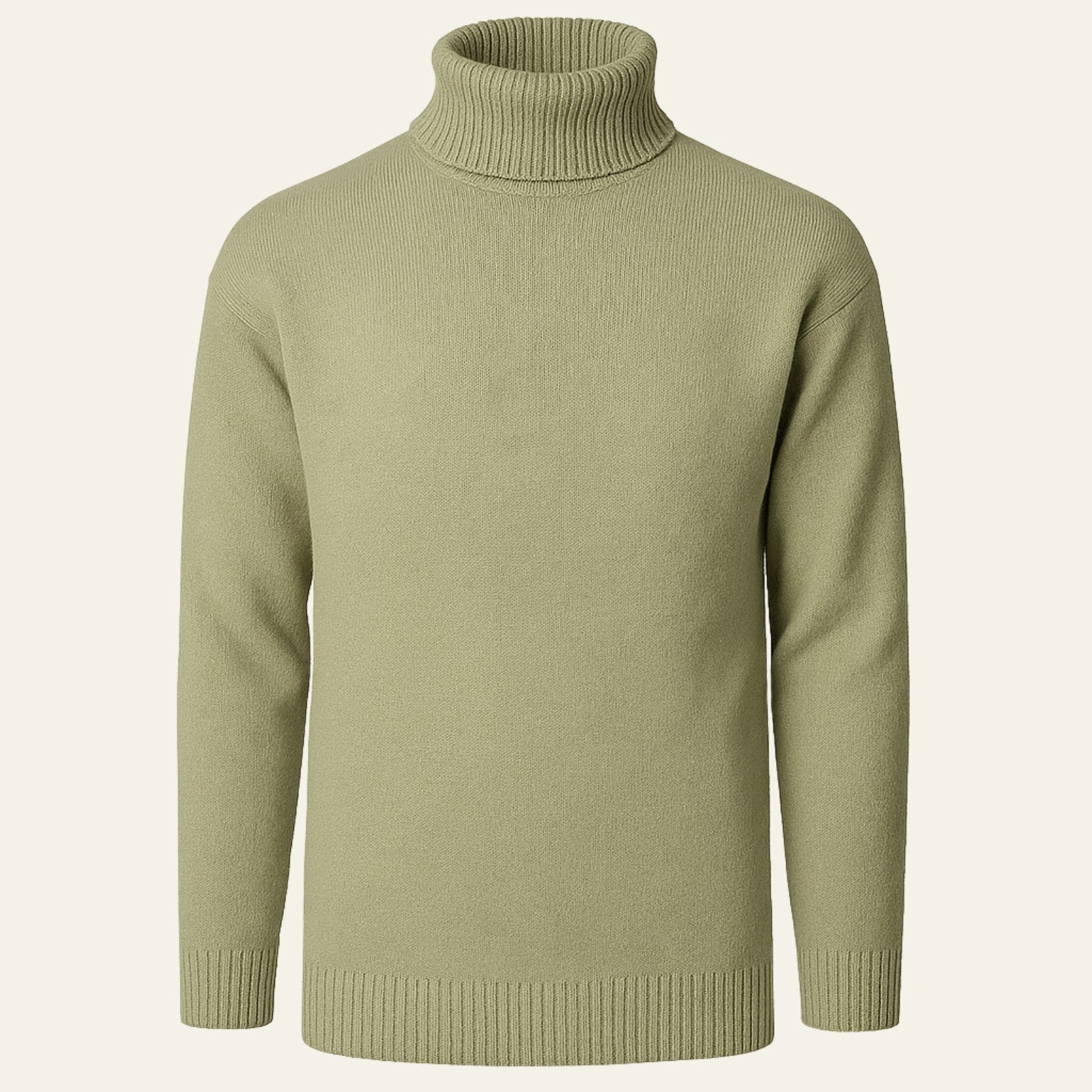 The Sloane Cotton Turtleneck