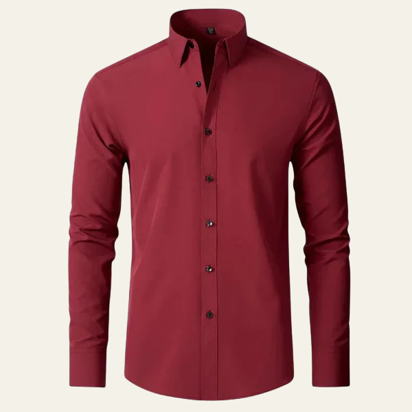 The Ariston Button-Down Shirt