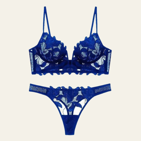 The Daniela Embroidered Mesh Lingerie Set