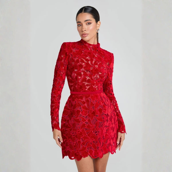 The Valencia Lace-Overlay Mini Dress