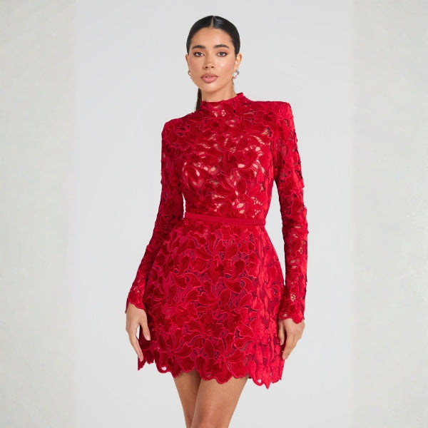 The Valencia Lace-Overlay Mini Dress
