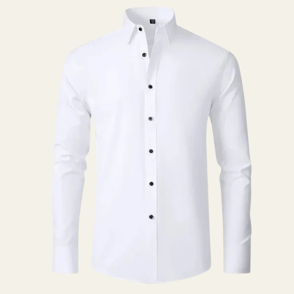 The Ariston Button-Down Shirt