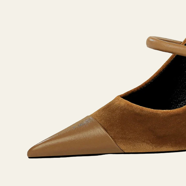 The Arlette Two-Tone Pointed Pumps