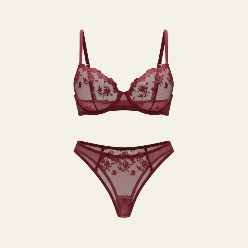 The Ophelia Embroidered Mesh Lingerie Set
