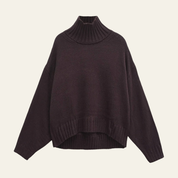 The Kyoto Oversized Turtleneck Sweater