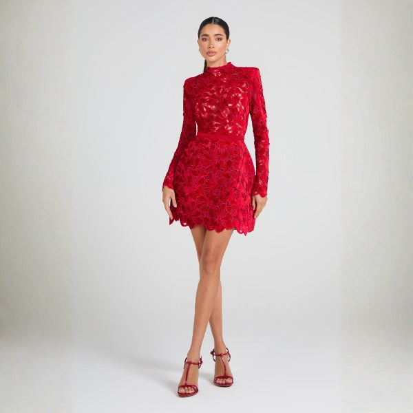 The Valencia Lace-Overlay Mini Dress