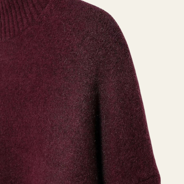 The Valleria Cozy High-Neck Winter Sweater