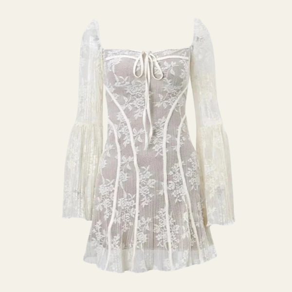 The Amaya Lace Corset Mini Dress
