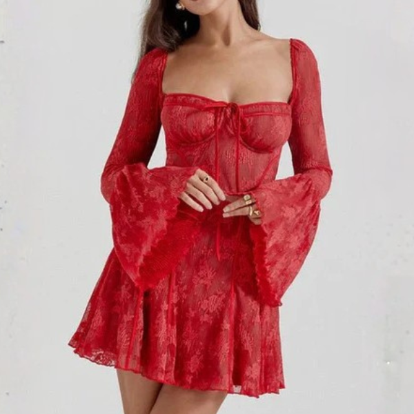 The Amaya Lace Corset Mini Dress